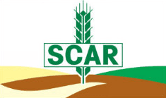 SCAR